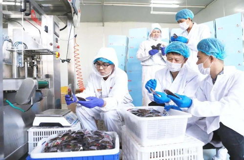 不是吧，食品檢測技術(shù)都這么先進了嗎？生物技術(shù)推廣服務(wù)直擊行業(yè)痛點